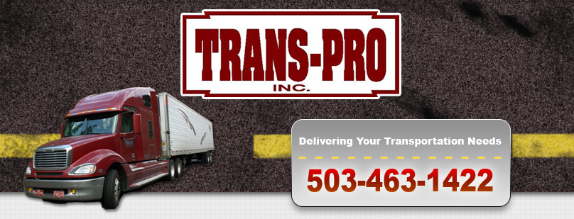 Virtual Trucking Company - RUS Pepega Trans — TruckersMP